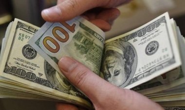 Doların 95 lira olacağı tarih açıklandı