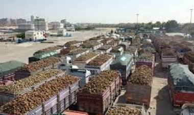 Pancar üreticilerine avans ödemeleri bugün yapılacak