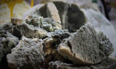 Osmanlı’dan günümüze uzanan vazgeçilmez lezzet: "Küflü peynir"