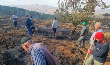 Konya'da orman yangını çıktı