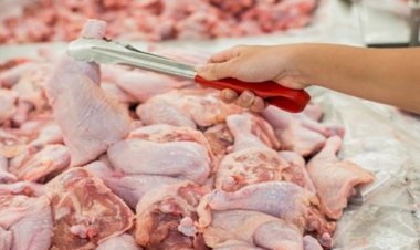 Yüksek enflasyon ve artan maliyetler, tavuk fiyatlarına yansıdı.