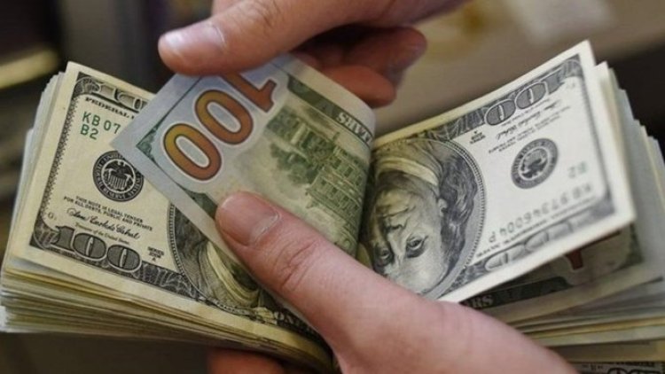 Doların 95 lira olacağı tarih açıklandı