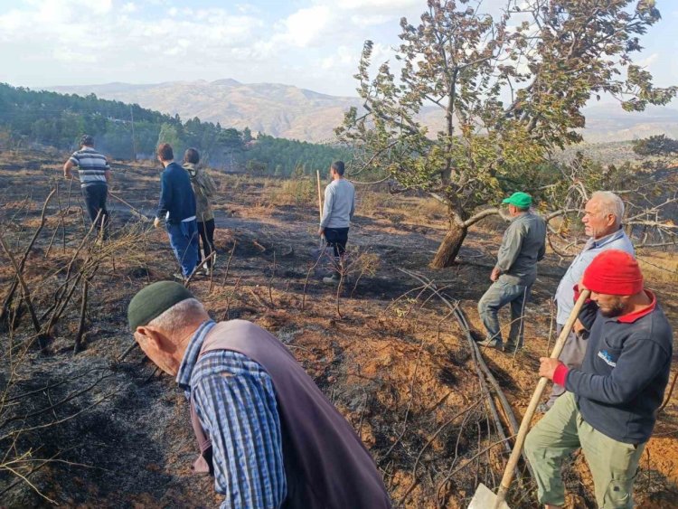 Konya'da orman yangını çıktı