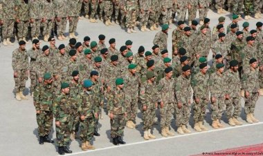 Türkiye'de gizli Afgan Ordusu. Nerede gizleniyorlar ?