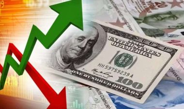 Türkiye için kur ve faiz tahmini