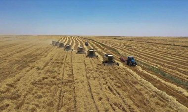 Tarımda izinsiz üretim bitti