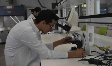 Türkiye’de ilk bitki hastanesi Konya’da açıldı