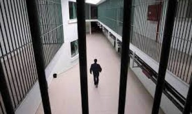 Genel af yasası  mı çıkıyor ?