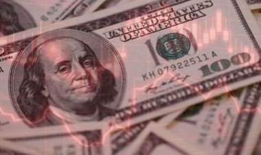 Remzi Özdemir dolarda yıl sonu için rakam verdi!