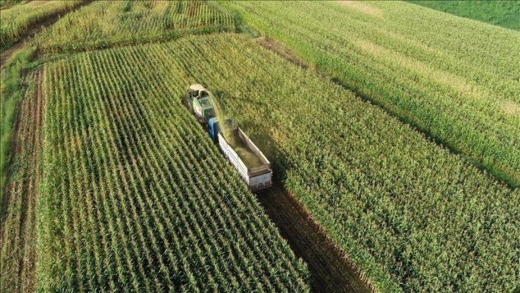 Çiftçilerin 11,2 milyar liralık mazot ve  gübre desteği kartlarına tanımlandı