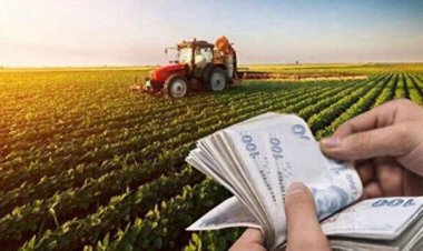 Çiftçinin kredi borcu 499 milyar TL