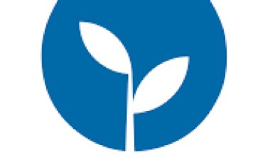 DEVA PARTİSİNDE İSTANBUL’DA YAPRAK DÖKÜMÜ