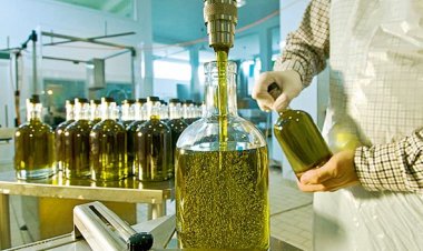 Zeytinyağı altınla yarışıyor!