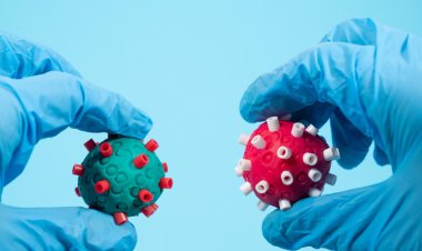 Çin ve Hindistan’ı etkileyen gizemli virüsle ilgili açıklama