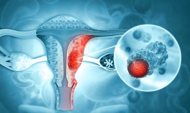 Ücretsiz olacaktı zam geldi. Seçim vaadi unutuldu