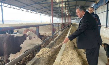 Hayvancılıkta maliyetler yüzde 200 arttı.