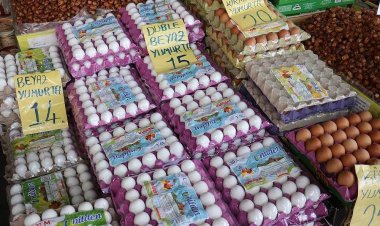 Konya’daki yumurta üreticilerinden dünyaya uyarı!