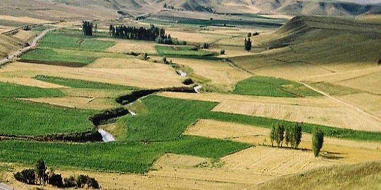 İşlenmeyen tarım arazilerini üretime kazandırmak için  kiralama yönteminde yol haritası belli oldu!