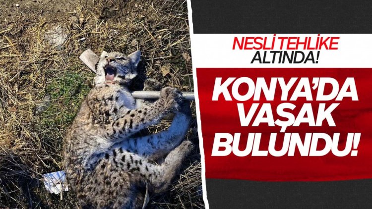 Kulu’da sağlıklı yaşam için çeşitli etkinlikler gerçekeştirildi