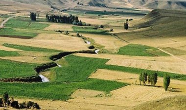 TARIM ARAZİLERİ DEĞERLENDİRİLECEK