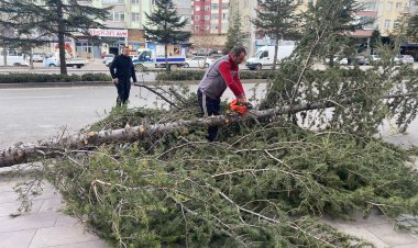 Konya'da etkili olan rüzgar çatıları uçurdu, ağaçları devirdi