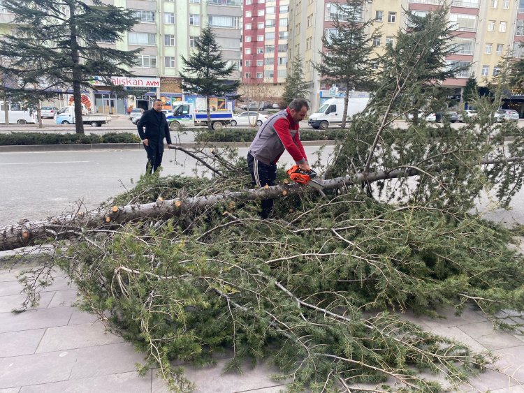 Konya'da etkili olan rüzgar çatıları uçurdu, ağaçları devirdi