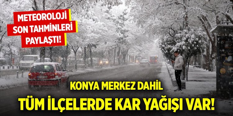 Tüm ilçelerde kar yağışı var