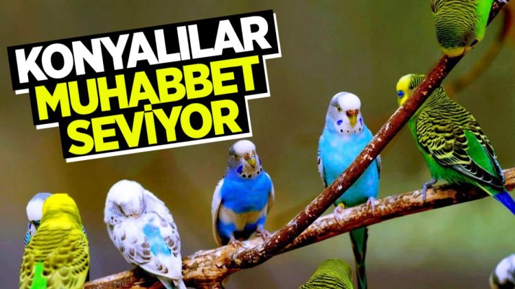 Konyalılar "muhabbet" seviyor