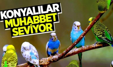 Konyalılar "muhabbet" seviyor