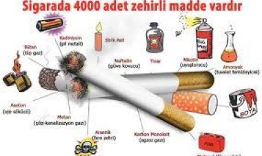 Türk erkekleri tütün kaynaklı ölümlerde dünya ikincisi