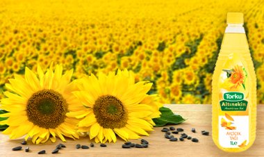 Torku Altınekin Yağ Fabrikası,  ülke ekonomisine katkı sağlıyor
