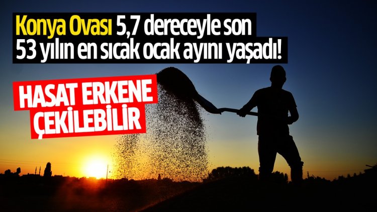 Konya Ovası 5,7 dereceyle son 53 yılın en sıcak ocak ayını yaşadı!