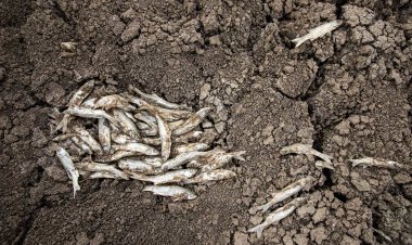 May Barajı tamamen kurudu!