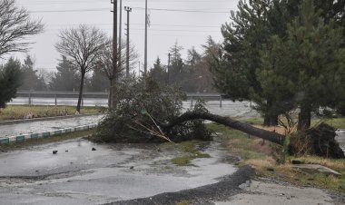 Yağış ve kuvvetli rüzgar bekleniyor