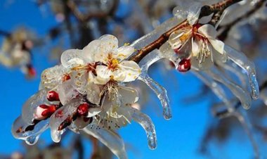 Konya nisanda yanıp kavrulacak!