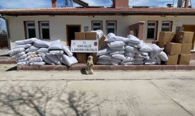 Durdurulan tırlarda 14 ton kaçak tütün ele geçirildi