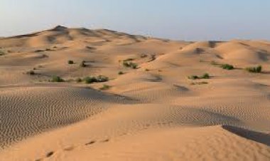 KONYŞA ÇÖL OLUYOR