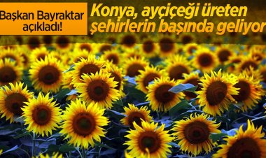 Bayraktar: Ayçiçeğine yönelik  destekler yükseltilmeli