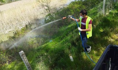 Ereğli Belediyesi haşere ile mücadele çalışmalarına başladı