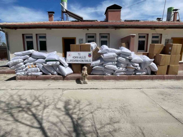 Durdurulan tırlarda 14 ton kaçak tütün ele geçirildi