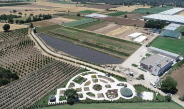 Tarımda yeni akım: Tıbbi ve aromatik bitki yetiştiriciliği