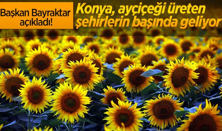 Bayraktar: Ayçiçeğine yönelik destekler yükseltilmeli