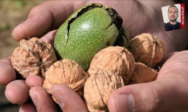 Tarımın her alanında artan maliyetlerle iç  pazarda üretim dışarıdan daha pahalı oldu
