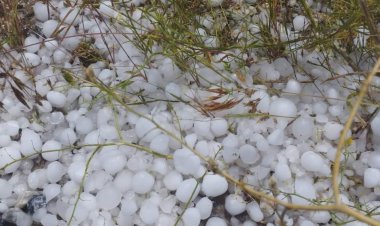 KONYA OVASINI DOLU VURDU.