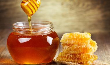 Türk balı 4 ayda 11,5 milyon dolar kazandırdı