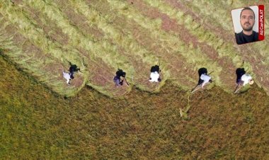 Sektörün banka ve şahıslara borcu 850 milyar  TL’yi aşarken çiftçi faiz desteği bekliyor