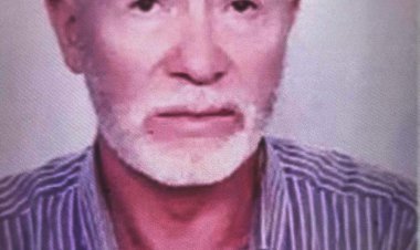 Asma yaprağı toplamak isterken merdivenden düşerek öldü