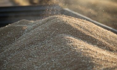 TMO, üreticilerden 1 milyon tonun üzerinde buğday ve arpa aldı