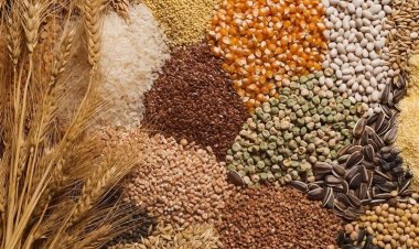 2024 hububat alım fiyatları belli oldu