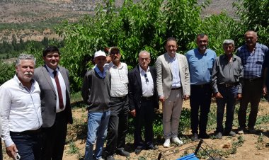 CHP, Hadim’de kiraz üreticilerinin feryadını paylaştı